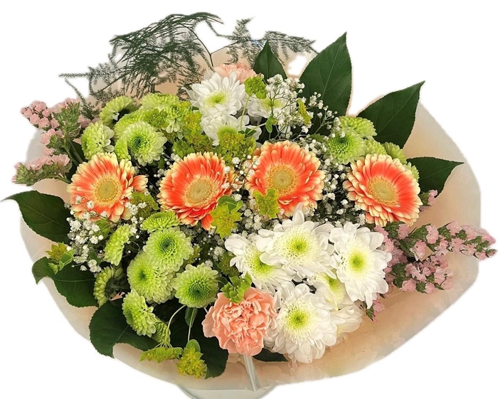 <h4>Bq Barbotine  L</h4>