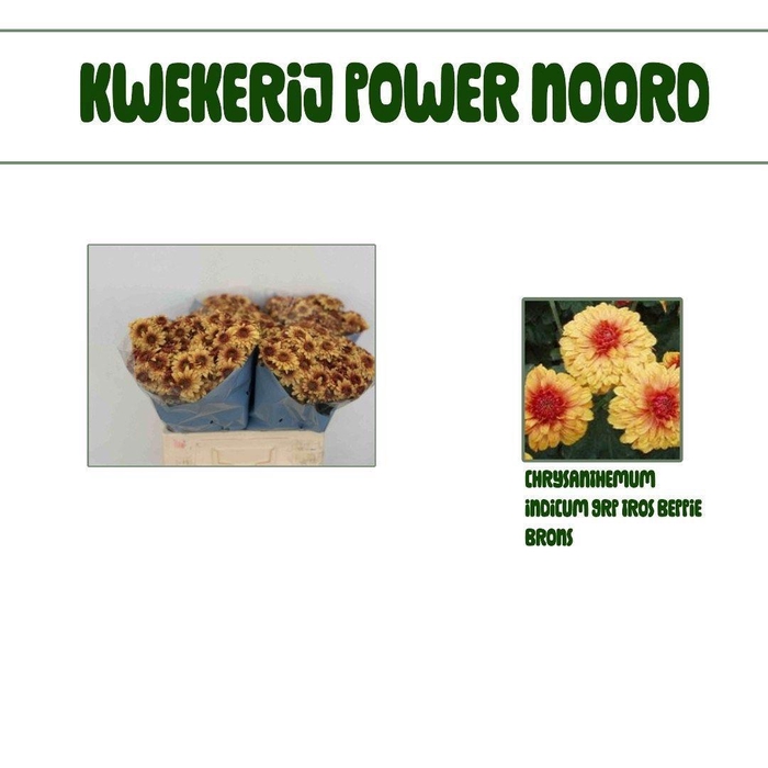 <h4>CHR T BEPPIE BRONS</h4>