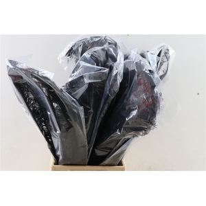 Feather Ostrich Feathers 55cm 5 Pcs Black