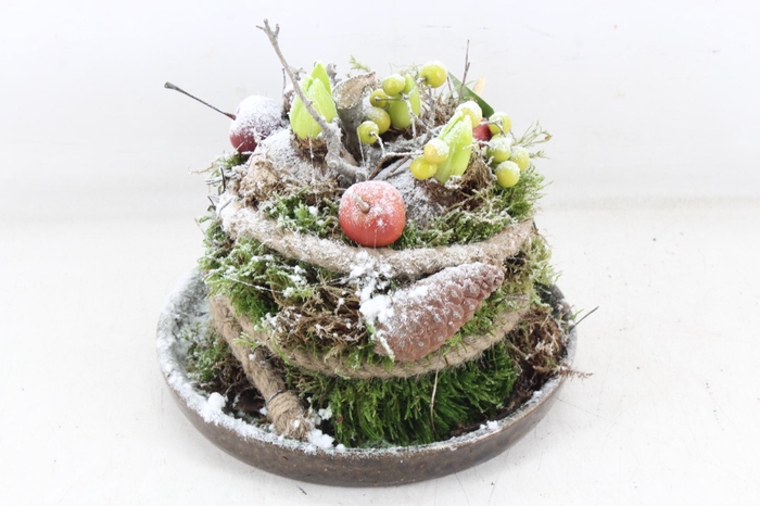 <h4>arr4 Hyacint MB - Ker. schaal mosbol x4 RD</h4>