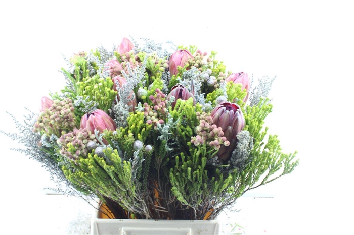 <h4>Protea Boeket</h4>