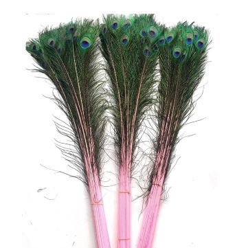 Veren Pauw 100cm