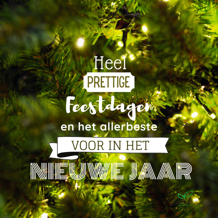 BLOEMENKAARTJE - PRETTIGE FEESTDAGEN - 6.5*6.5CM - 50PCS