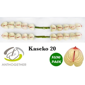 Anth A Kaseko Flow Pack X20 Bouman