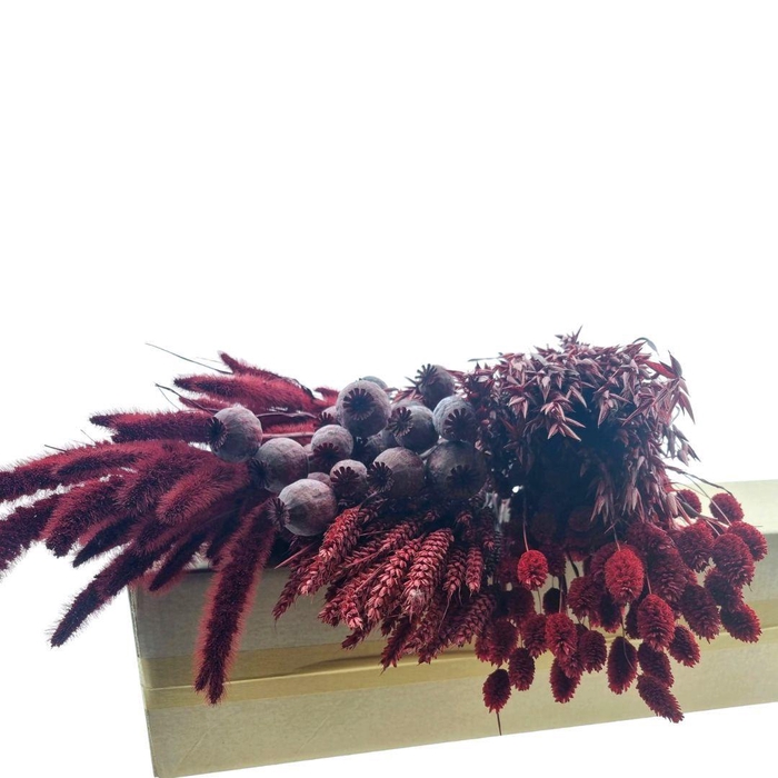 <h4>Droogbloem DIY box assorti 65-70cm</h4>