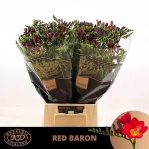 Freesia enk Red Baron