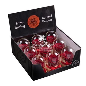 Display Dome Sarah Red01