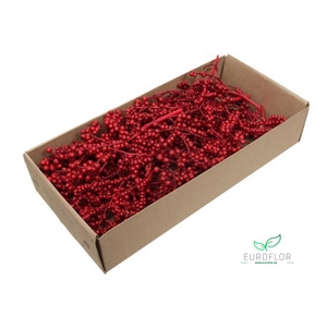 CANELLA RED 20PCS