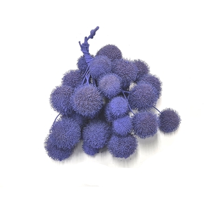 Small ball per bunch in poly Milka