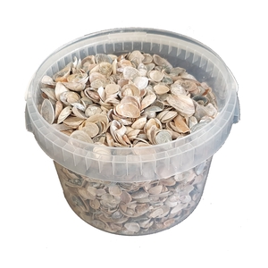 Shells north sea 3 ltr Frosted White