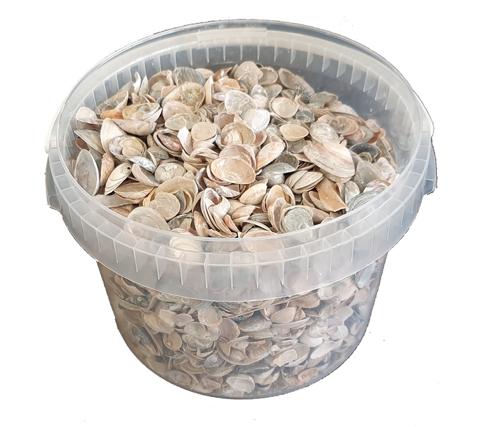 Shells north sea 3 ltr Frosted White