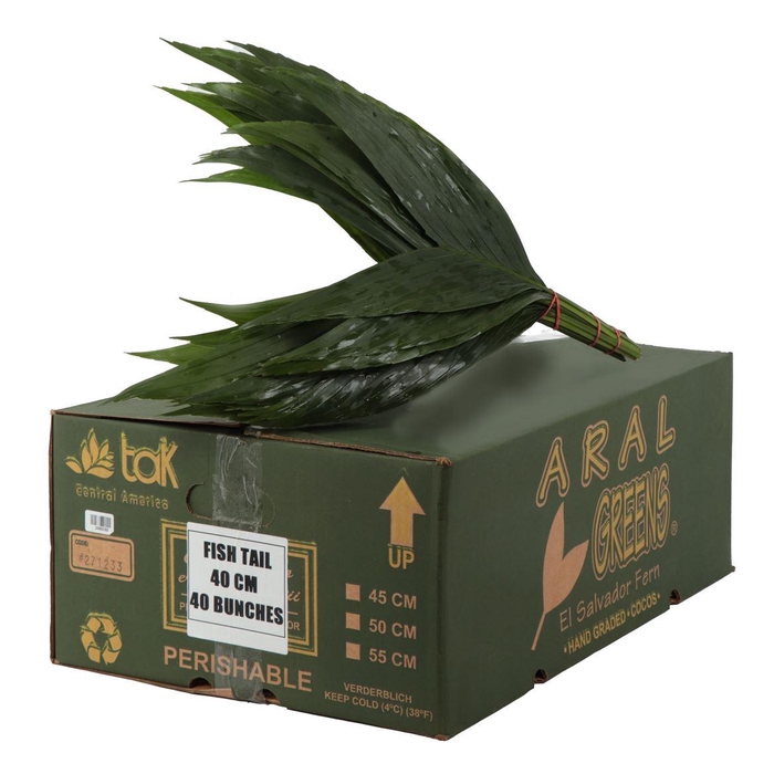 <h4>Cocos Cultivated</h4>