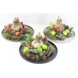 arr4 Amaryllis MB - Zink rand rond mix LED Los