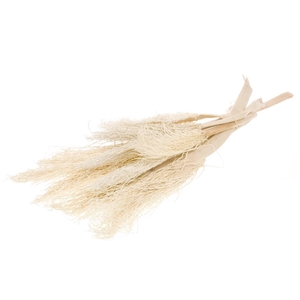 Palm Twizzle 5pc Bunch Bleached White
