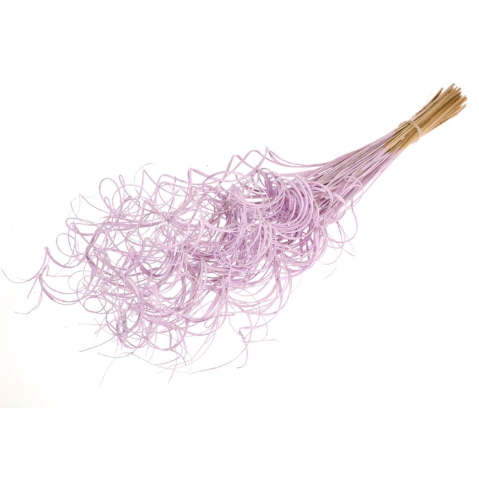 Curly Ting Ting (palm) 100pc Lilac Misty