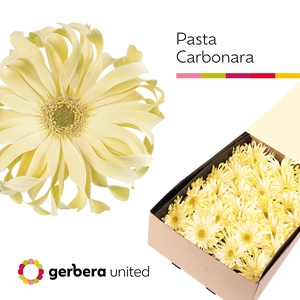 Ge Gr Pasta Carbonara