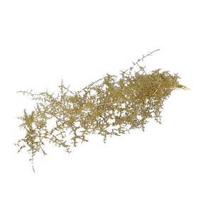 Bunch Asparagus Glitter