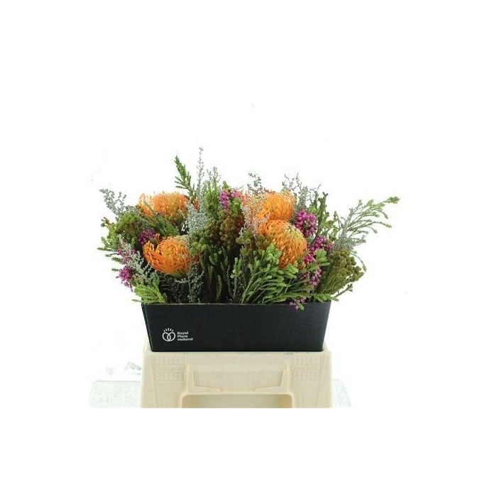 <h4>Kaaps Groe Gem In Bs</h4>