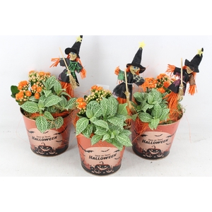 arr2 JS - Zink halloween print
