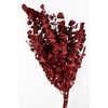 Bunch Eucalyptus 125gr Slv L70