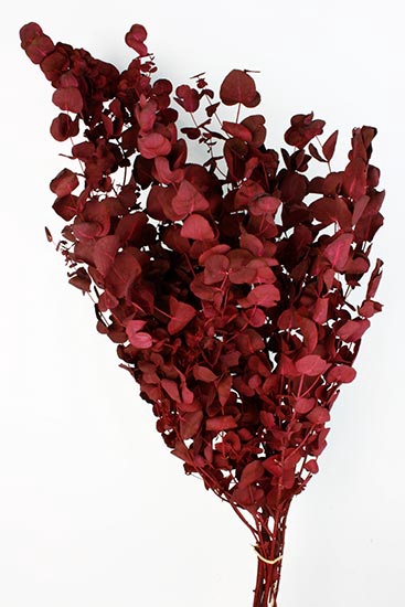 Bunch Eucalyptus 125gr Slv L70