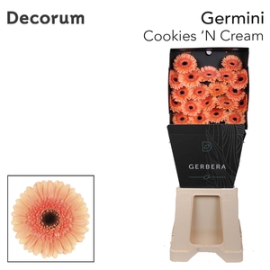 Germini Cookies N Cream Diamond Per Kaart
