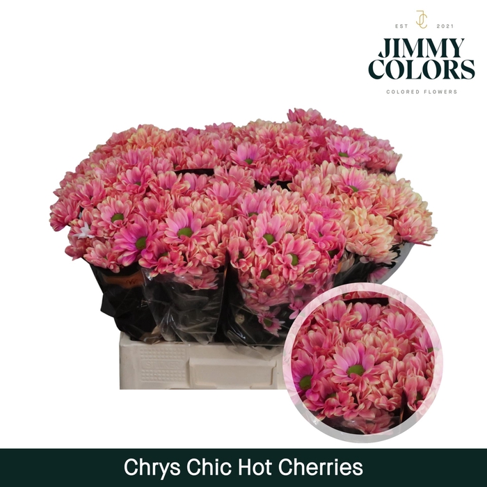 <h4>Chrys tros Chic Hot cherries</h4>