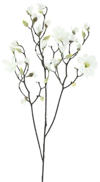 <h4>Magnolia branch Osaka white123cm</h4>