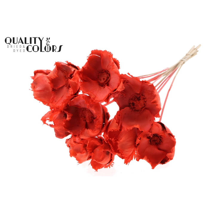 <h4>Palm cup on stem Intense Coral</h4>