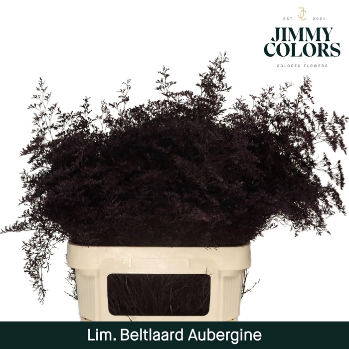 <h4>Lim Bel L90 Aubergine</h4>
