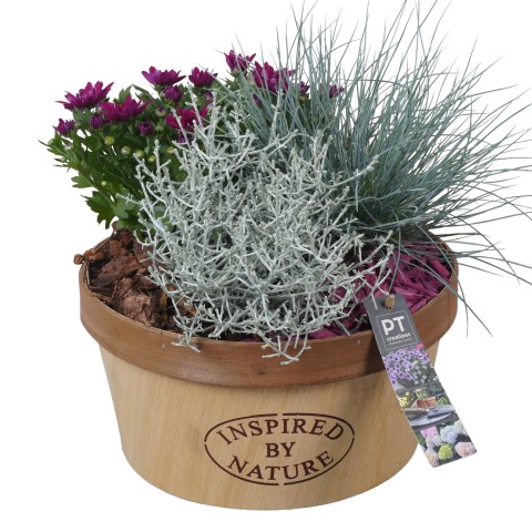 <h4>PTSO7217 Arrangementen Tuinplanten</h4>