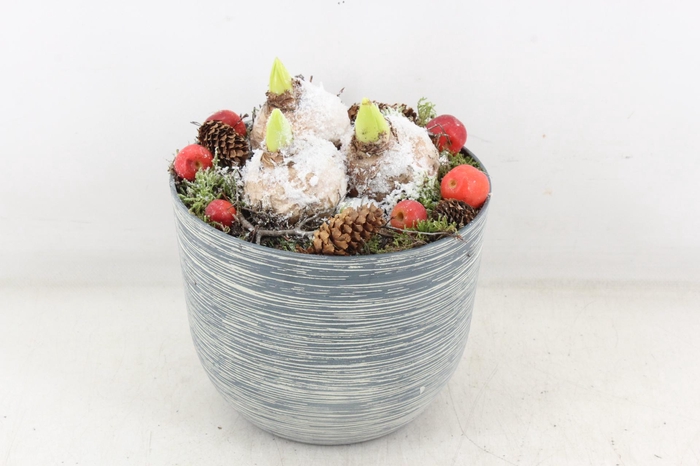 <h4>arr4 Hyacint PL - Kunstst. pot ribbel 401/3</h4>