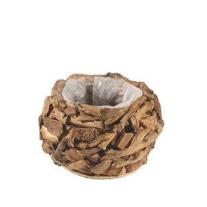 Wood Planter driftwood d20*14cm