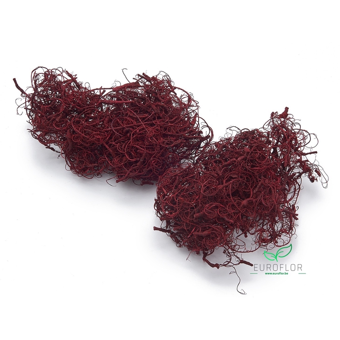 <h4>CURLY MOSS RED 500GR</h4>