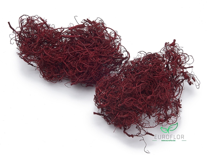 CURLY MOSS RED 500GR