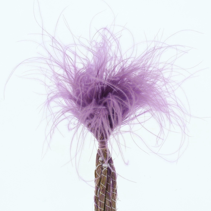 <h4>DROOGBL BEWERKT H%</h4>