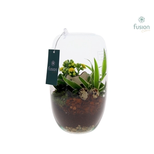 Green Bottle Isabella Medium Pasen met arrangement