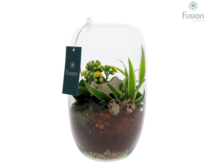 <h4>Green Bottle Isabella Medium Pasen met arrangement</h4>