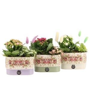 11624: Consideration arrangement