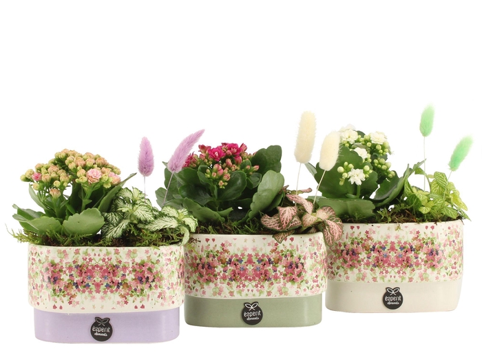 <h4>11624: Consideration arrangement</h4>