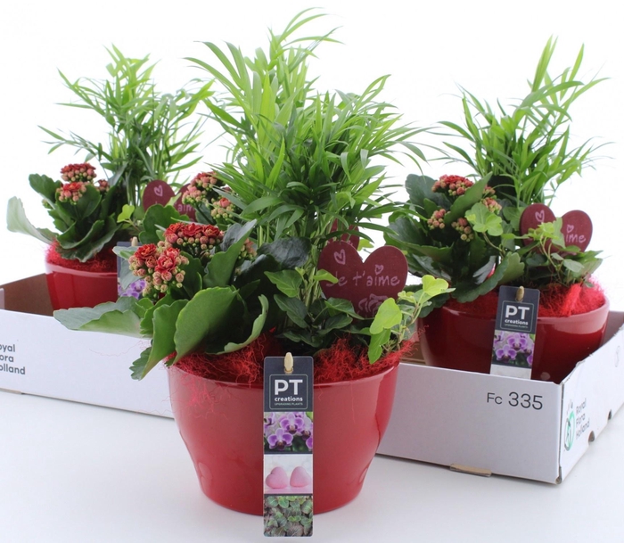 <h4>ARR KAMERPL</h4>