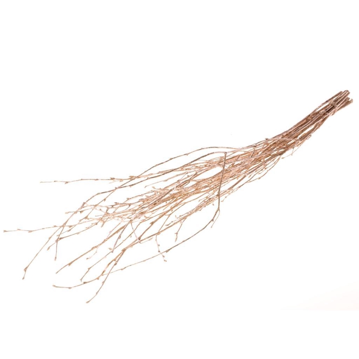 <h4>Birch 60cm Warm Gold</h4>