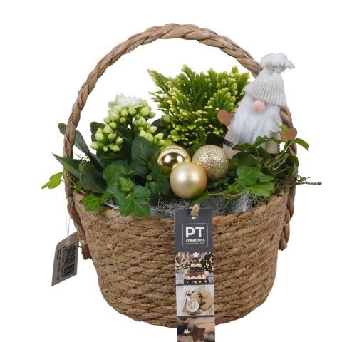 <h4>PTCHG5686 Arrangementen Kerst</h4>