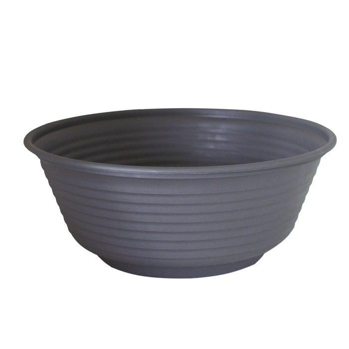 <h4>Coupe d23 (gris)</h4>
