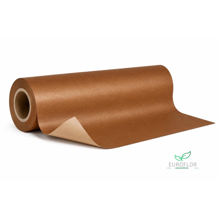 <h4>KRAFTPAPIER 10KG 50CM 50GR MOCHA MOUSSE</h4>