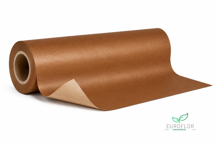 KRAFTPAPIER 10KG 50CM 50GR MOCHA MOUSSE