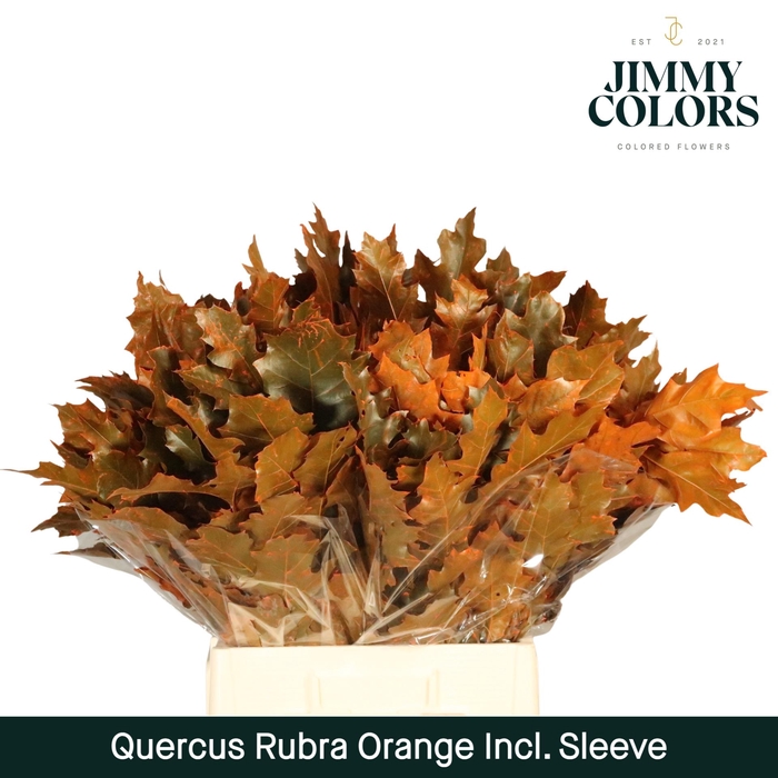 <h4>Quercus Rubra Sleeve L60 Oranje</h4>