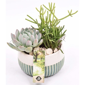 Keramiek schaal met strepen 12cm