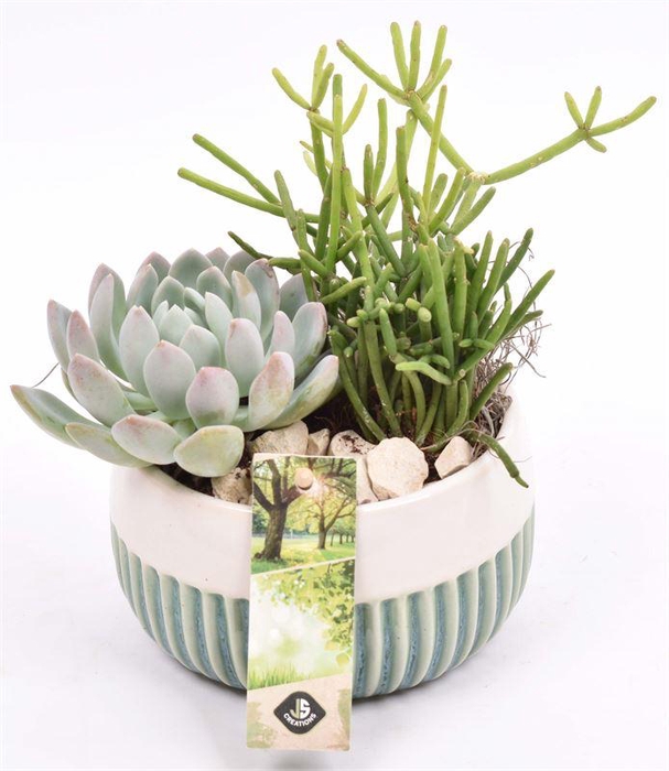 <h4>Keramiek schaal met strepen 12cm</h4>