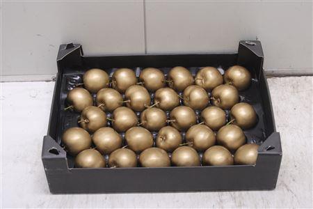 <h4>F-waxappel Goud</h4>
